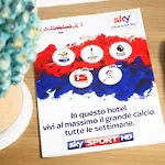 Napolart 4*